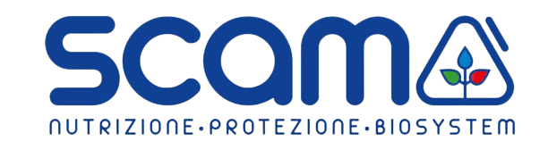 logo scam 1